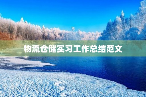 物流仓储实习工作总结范文