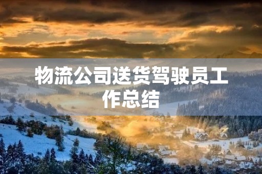 物流公司送货驾驶员工作总结