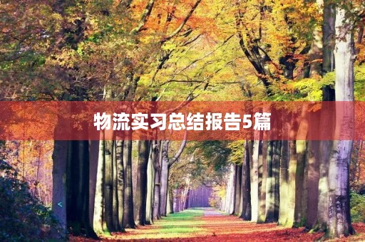 物流实习总结报告5篇 物流实习总结报告5篇