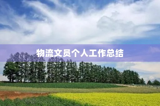 物流文员个人工作总结