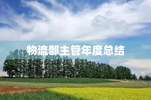 物流部主管年度总结