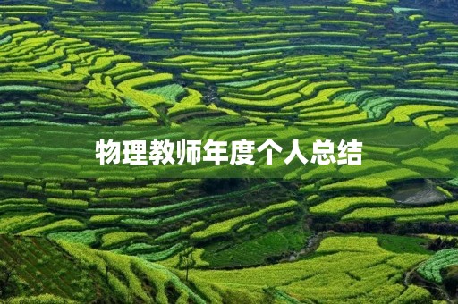 物理教师年度个人总结(精选13篇)