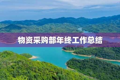 物资采购部年终工作总结（13篇）