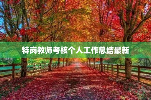 特岗教师考核个人工作总结最新