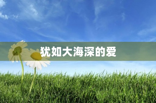 犹如大海深的爱 犹如大海深的爱