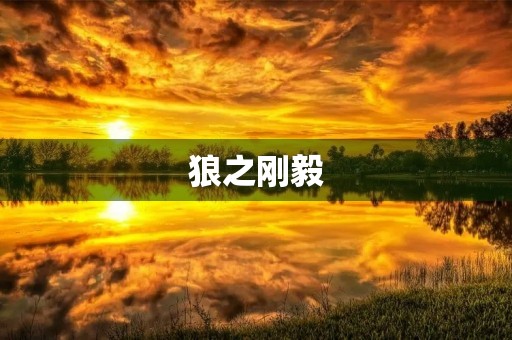狼之刚毅 狼之刚毅