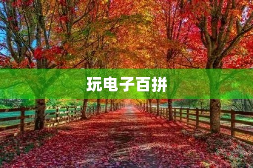 玩电子百拼