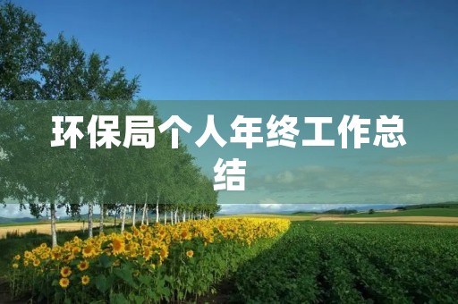 环保局个人年终工作总结
