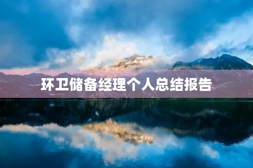 环卫储备经理个人总结报告