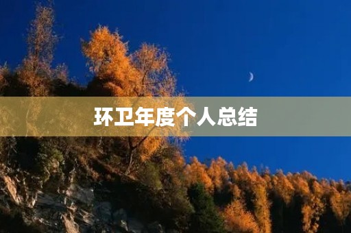环卫年度个人总结