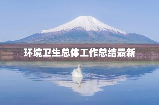 环境卫生总体工作总结最新