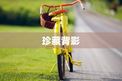 珍藏背影 珍藏背影