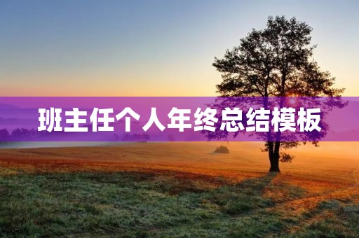 班主任个人年终总结模板
