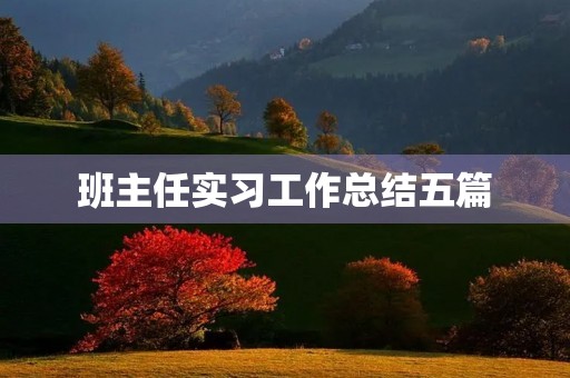 班主任实习工作总结五篇 班主任实习工作总结五篇