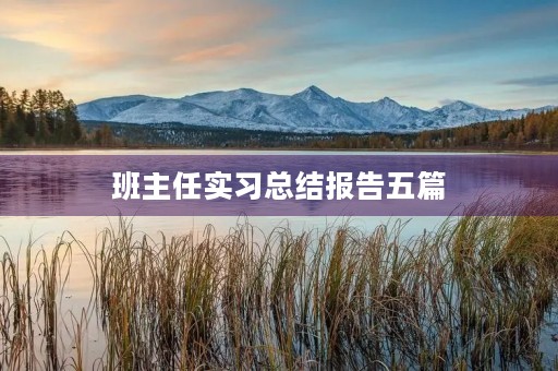 班主任实习总结报告五篇 班主任实习总结报告五篇