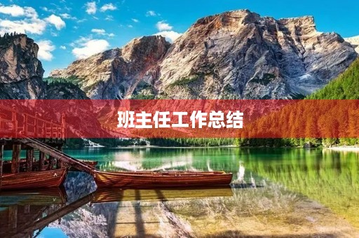 班主任工作总结()
