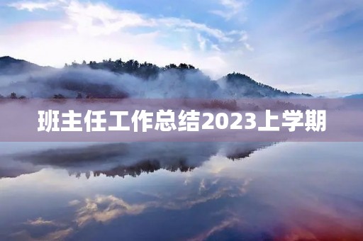 班主任工作总结2023上学期
