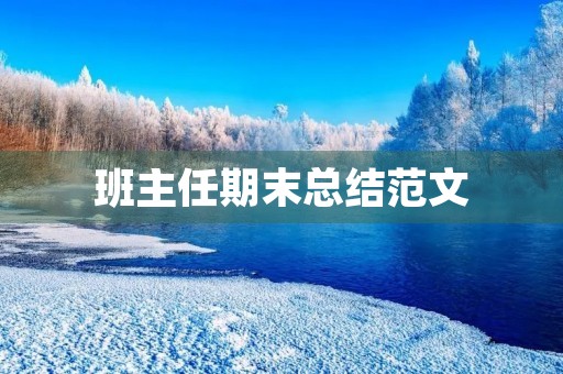 班主任期末总结范文