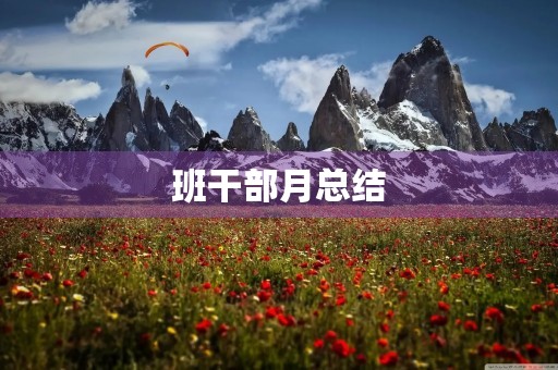 班干部月总结