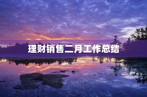 理财销售二月工作总结