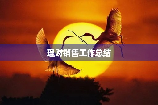 理财销售工作总结