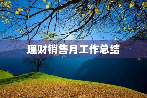 理财销售月工作总结