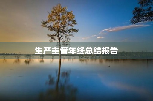 生产主管年终总结报告