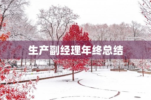 生产副经理年终总结