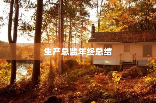 生产总监年终总结