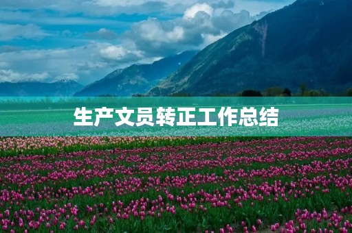 生产文员转正工作总结