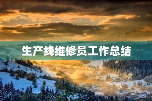 生产线维修员工作总结