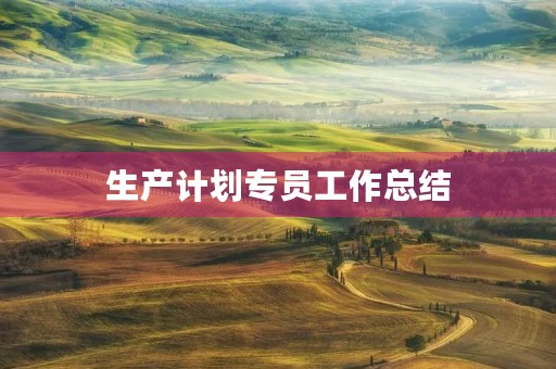 生产计划专员工作总结