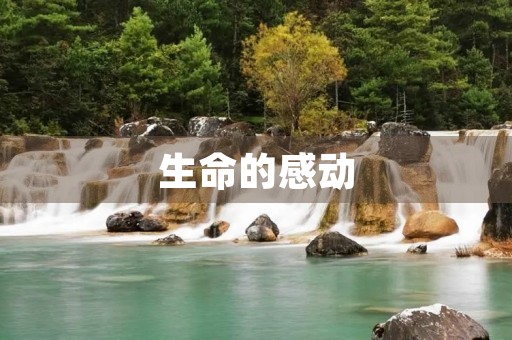 生命的感动