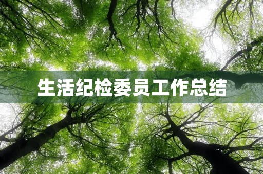 生活纪检委员工作总结