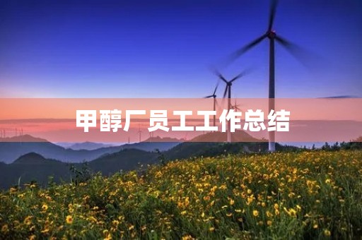 甲醇厂员工工作总结