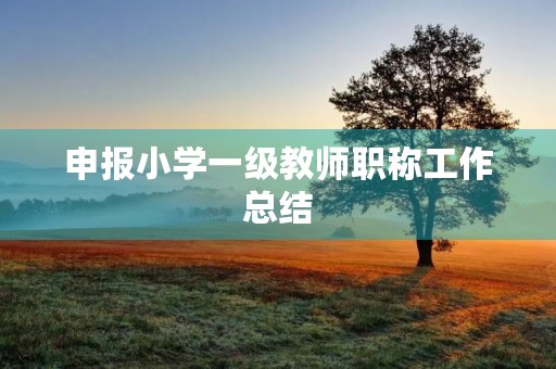 申报小学一级教师职称工作总结