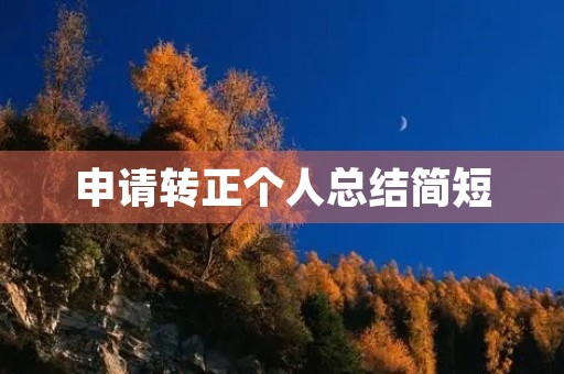 申请转正个人总结简短（七篇）