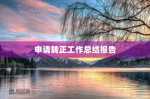 申请转正工作总结报告