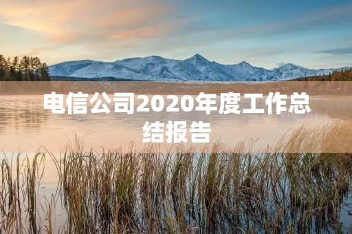 电信公司2020年度工作总结报告