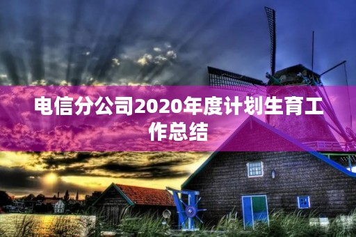 电信分公司2020年度计划生育工作总结