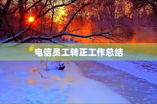 电信员工转正工作总结