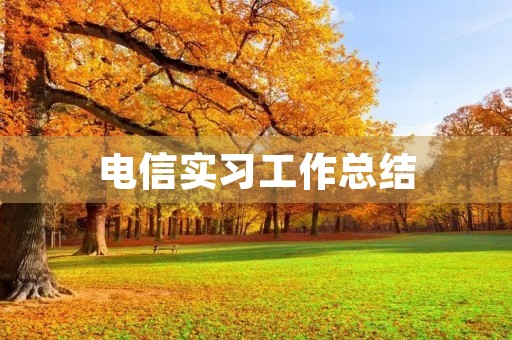 电信实习工作总结 电信实习工作总结