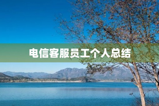 电信客服员工个人总结