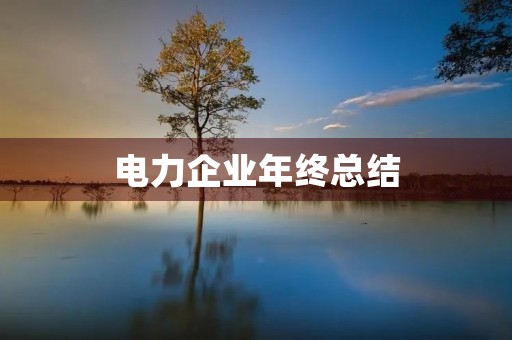 电力企业年终总结