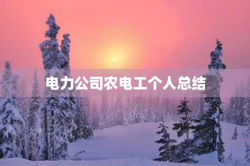电力公司农电工个人总结