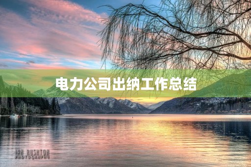 电力公司出纳工作总结