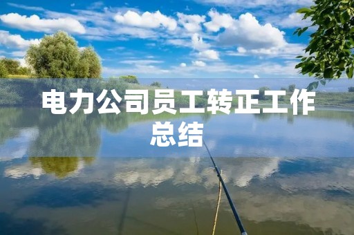 电力公司员工转正工作总结