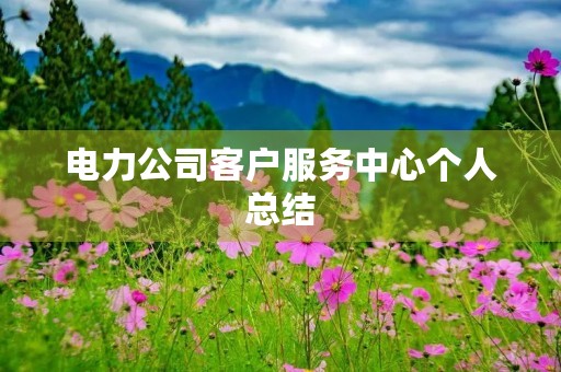 电力公司客户服务中心个人总结 电力公司客户服务中心个人总结