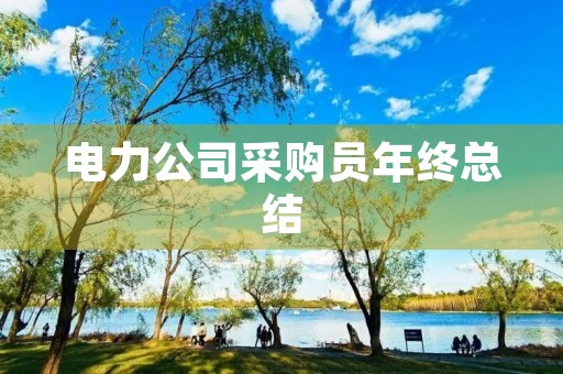电力公司采购员年终总结