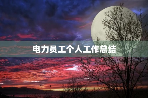 电力员工个人工作总结